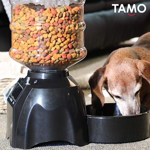 TAMO 강아지 고양이 애완용품 자동 급식기 FEEDERV2